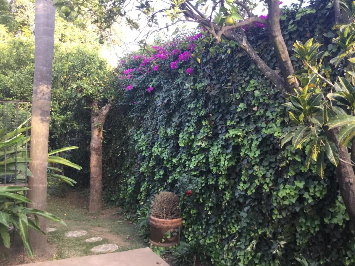 La Quinta Margarita - The Best Place In Town Villa Cuernavaca Exterior foto