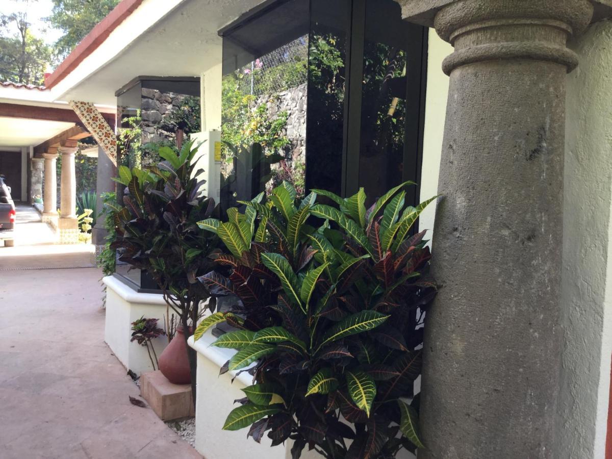 La Quinta Margarita - The Best Place In Town Villa Cuernavaca Exterior foto